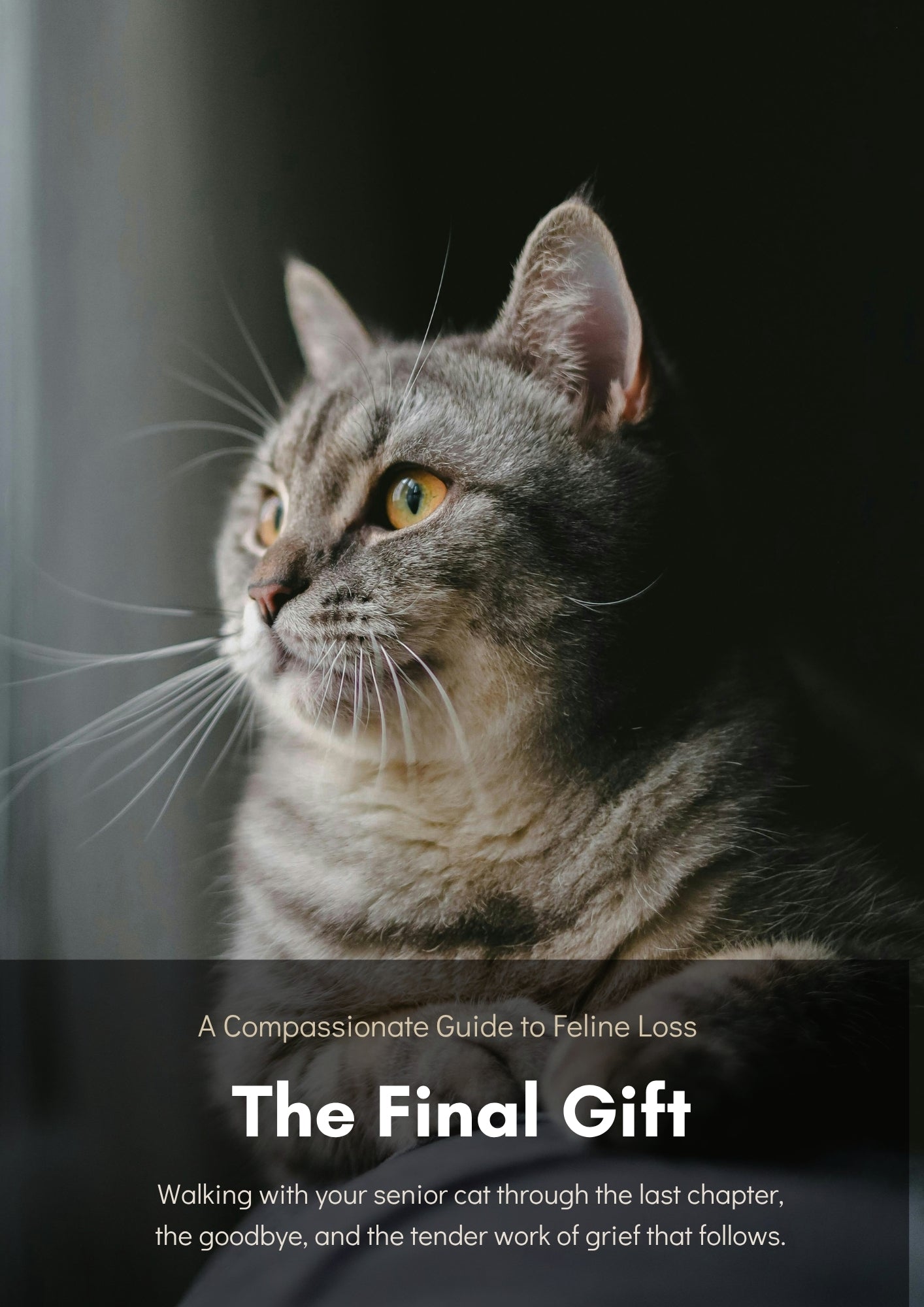 The Final Gift: A Compassionate Guide to Feline Loss